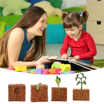 Lapsed Taime Seemned Kasvu Elutsükli Playset Kognitiivse Mänguasjad Õppevahendid Haridus Mänguasjad Montessori Õppevahendid
