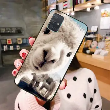 Laama Laama Alpacas Loomade Telefon Case For Samsung Galaxy A21S A01 A11 A31 A81 A10 A20E A30 A40 A50 A70 A80 A71 A51