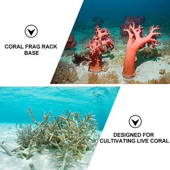 20pcs Coral Frag Hammas Plug Akvaariumi Coral Reef Coral Keraamiline Alus Sulg