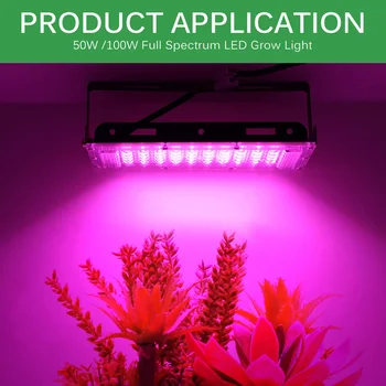 LED Grow Light 50W 100W LED Tulvaprožektor AC220V Täieliku Spektri Lamp Hüdropooniline Taime Õied Puukooli Istikuid Kasvu Valgustus