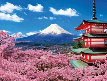 GATYZTORY Mount Fuji Maastik DIY Värvimine Poolt Numbrid Lõuend Värvaine, Õli Maali Seina Decor Ainulaadne Kingitus Lõbus Kodus 60×75