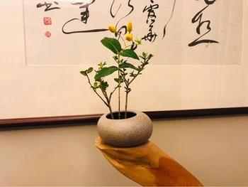 Keraamiline väike vee tilk lillepotis vaas seade Zen tee tabel desktop jaapani ikebana lill kokkulepe, keraamiline vahendid
