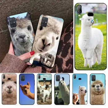 Laama Laama Alpacas Loomade Telefon Case For Samsung Galaxy A21S A01 A11 A31 A81 A10 A20E A30 A40 A50 A70 A80 A71 A51