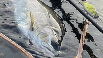 1tk Jaapani Disain Hukku Lepamaim Kalapüügi Peibutis 46 mm 4g Kõrge Kvaliteedi Raske Oja Kalapüügi Lures jaoks Ahven Haug Forell Bass Meelitada