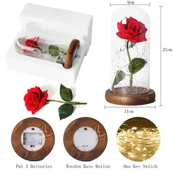 Kaunitar Ja Koletis Kunstlik Eternal Rose LED Valgus Dome Interjööri Kaunistamiseks Aastapäeva Pulmad Valentine emadepäeva