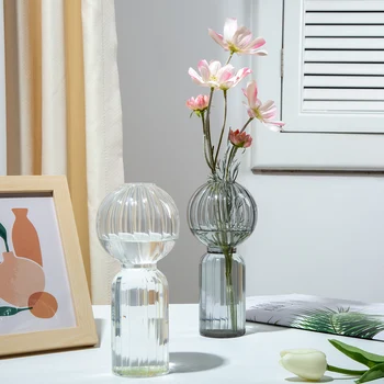 Põhjamaade Kodu Kaunistamiseks Vaasi Värv Hüdropooniline Vaas elutuba Decor Laual Läbipaistev Mini Vaasid jaoks lilleseade