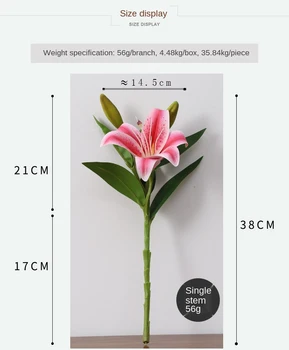 Simulatsioon Lily Kodu Elutoa Kaunistamiseks Bonsai Lill Simulatsiooni Kääbus Rant Lily Kaunistamiseks Flower