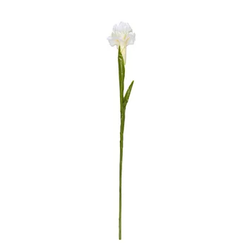 60cm kõrge 5tk kunstlik Võhumõõk flower&kunstlik Iris&kunstlik pärsia Fleur de Lys&fleur-de-lis&kunstlikku lille-de-luce