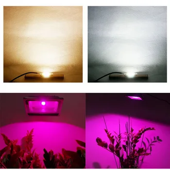 LED Grow COB Kiip Füto Lamp Täieliku Spektri AC220V 10W 20W 30W 50W Sise-Taim Seemikute kasvule ja Lille Kasvu Fitolamp