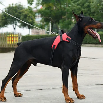 Koer Pehme Reguleeritavad Rakmed Pet Suur Koer Kõndida Läbi Rakmed Vest, Krae Randmepael Väike Keskmine Suur Koerad