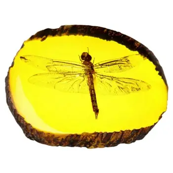 Ilus Kollane Dragonfly Fossiilsete Putukad Käsitsi Poleerimine Peen Kingitus Home Decor