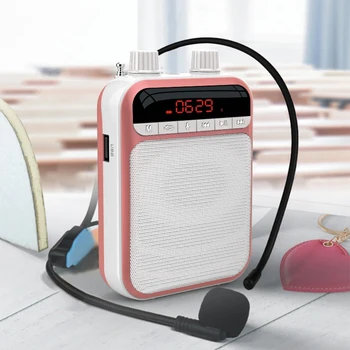 Viugreum Kaasaskantav Hääl Võimendi Juhtmega Mikrofon FM Raadio AUX-Heli Salvestus Bluetooth Kõlar Õpetajate Õpetaja, Jooga