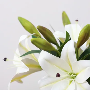 Simulatsioon Lily Kodu Elutoa Kaunistamiseks Bonsai Lill Simulatsiooni Kääbus Rant Lily Kaunistamiseks Flower