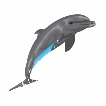 13cm Loominguline Decal Dolphin Mootorratta Auto Kleebised DIY Anime Asutuse Auto 3D Veekindel Vinüül Auto Wrap dekoratsiooni