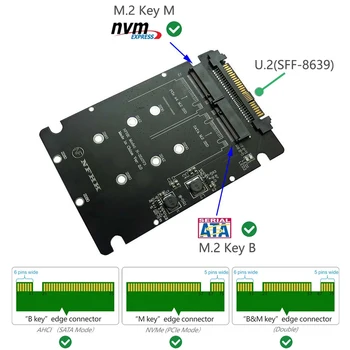 NVME Adapter Ärkaja M. 2 SSD, et U. 2 Adapter 2in1 M. 2 NVMe + M. 2 SATA NGFF SSD PCI-e U. 2 SFF-8639 Adapter PCIe M2 Converter Kaart