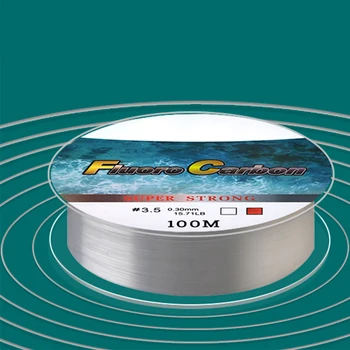 100M kulub 1,88-15.6 kg Leader-Carbon Kate Fly Fishing Line Anti-amps kulumiskindel Fluorosüsivesinikel Karpkala tamiil Jaapan pesca