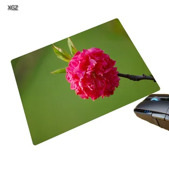 XGZ Taime Erinevate Lilled Mouse Pad Lill väiksus Non-slip Loomulik Softy Desktop Pad 25x29 / 20x25 / 18x22cm