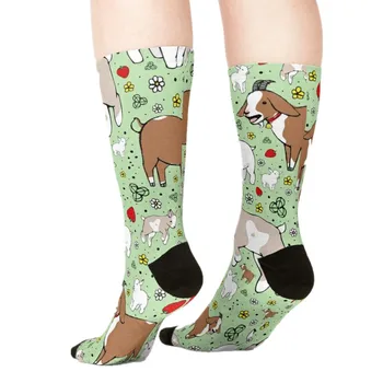 2021 Naiste sokid kawaii roheline Karikatuurid, Kitsed Trükitud Sokid Naine harajuku Õnnelik Naljakas Uudsus armas tüdruk kingitus Sokid naistele