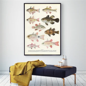 Õngitsemise kalapüügi Kunsti Lõuend maalisid Plakateid Prindib Tõugu Kala Mageveekalad Seina Pilt Kodus Ruumi Kaunistamine Seina Kahanda
