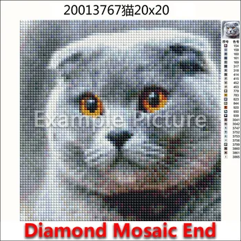 Täielik Square Diamond tikandid Cartoon hobune, hunt, kass, kilpkonn DIY Diamond maali loomade leopard Diamond värvikas mosaiik konn