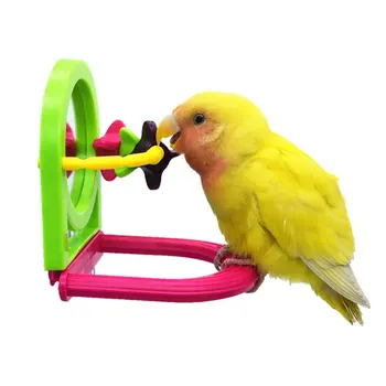 Papagoi Ja Lindude Mänguasjad Gnawing Lõbus Peegel Seisab Masti Leevendab Igavus Birdcage Mängib Vahendid