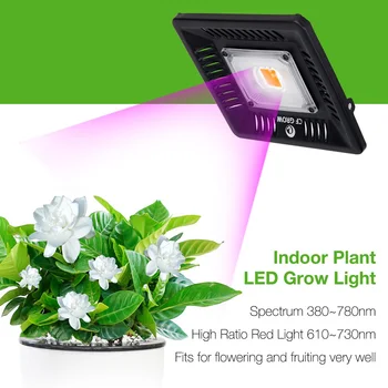 COB LED Grow Light Täieliku Spektri 100W 200W Veekindel IP67 Taimse Lill Siseruumides Hüdropooniline Kasvuhoone Taimede Valgustus Lamp